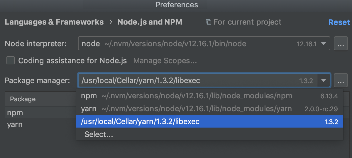 Select project package manager: choose a custom installation