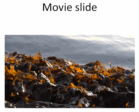 Presentation slide with video